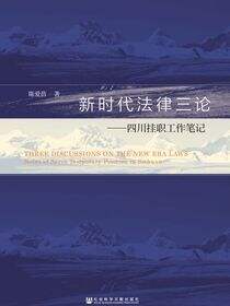 新时代法律三论：四川挂职工作笔记