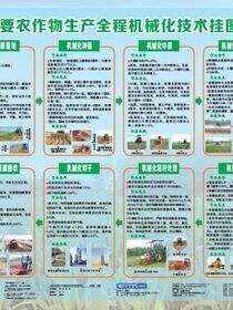主要农作物生产全程机械化技术挂图 玉米