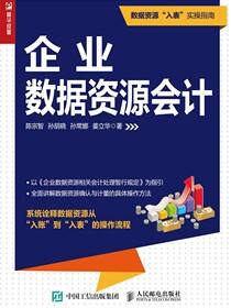 企业数据资源会计