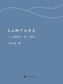 天山脚下的青鸟
