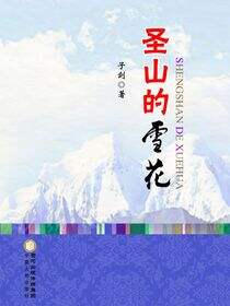 圣山的雪花
