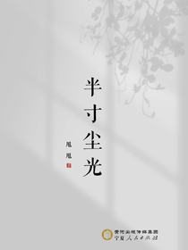 半寸尘光