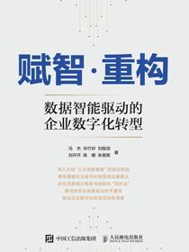 赋智·重构：数据智能驱动的企业数字化转型