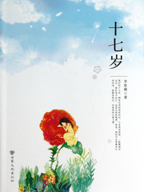 十七岁