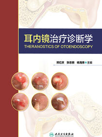 耳内镜治疗诊断学