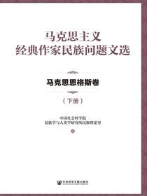 马克思主义经典作家民族问题文选（马克思恩格斯卷.下）