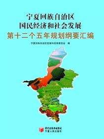 宁夏回族自治区国民经济和社会发展第十二个五年规划纲要汇编