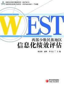 西部少数民族地区信息化绩效评估