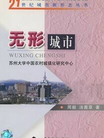 21世纪城市新形态丛书.无形城市