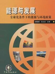 能源与发展：全球化条件下的能源与环境政策