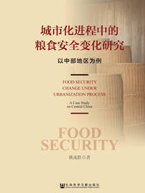 城市化进程中的粮食安全变化研究：以中部地区为例