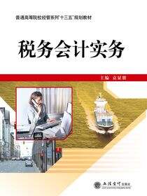 税务会计实务