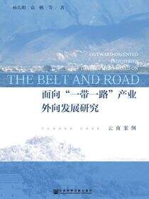 面向“一带一路”产业外向发展研究：云南案例