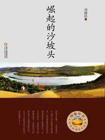 崛起的沙坡头