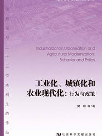 工业化、城镇化和农业现代化：行为与政策