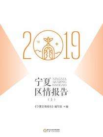 宁夏区情报告.2019.上