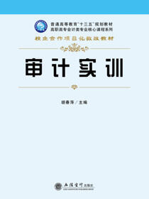 审计实训
