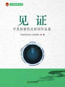 见证：宁夏检察机关新闻作品集