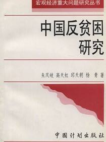 中国反贫困研究