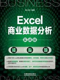 Excel商业数据分析（实战版）