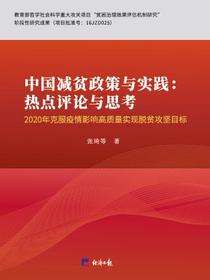 中国减贫政策与实践：热点评论与思考