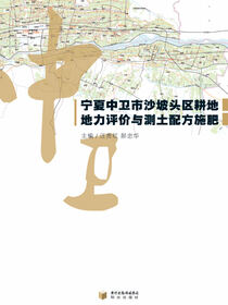 宁夏中卫市沙波头区耕地地力评价与测土配方施肥