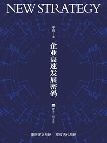 新战略：企业高速发展密码