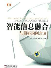 智能信息融合与目标识别方法