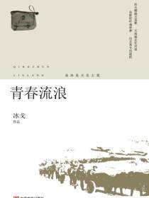 青春流浪