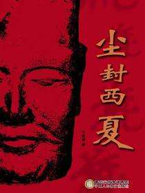 尘封西夏