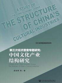 第三次经济普查专题研究：中国文化产业结构研究