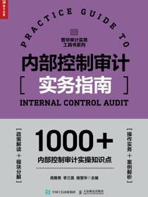 内部控制审计实务指南