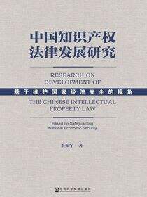 中国知识产权法律发展研究：基于维护国家经济安全的视角