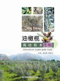 油橄榄栽培技术图解