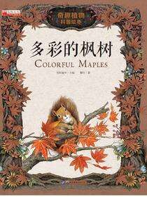 多彩的枫树