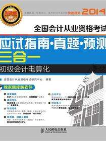 初级会计电算化