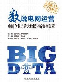 数说电网运营电网企业运营大数据分析案例集萃