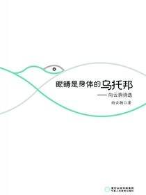 眼睛是身体的乌托邦:向云驹诗选