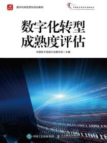 数字化转型成熟度评估