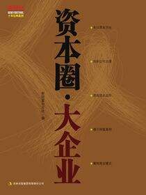资本圈·大企业
