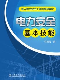 电力安全基本技能