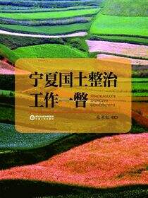 宁夏国土整治工作一瞥