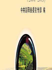 聚焦彭阳：2004～2013
