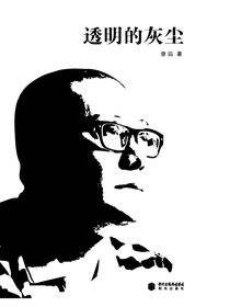 透明的灰尘