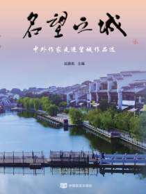 名望之城：中外作家走进望城作品选