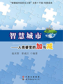 智慧城市——人类睿变的加与减