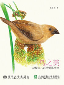 鸟之美