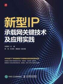 新型IP承载网关键技术及应用实践