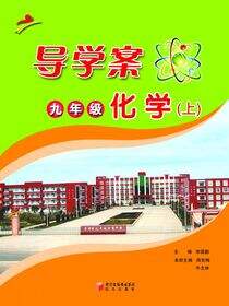 导学案.化学.九年级.上册