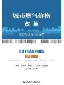 城市燃气价格改革：国际经验与中国选择